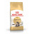 Royal Canin Maine Coon 31(Роял Канін) для кішок породи Мейн Кун старше 15 місяців 2 кг