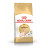 Royal Canin Sphynx adult 33 (Роял Канин) сухой корм для сфинксов с 1 года 10 кг