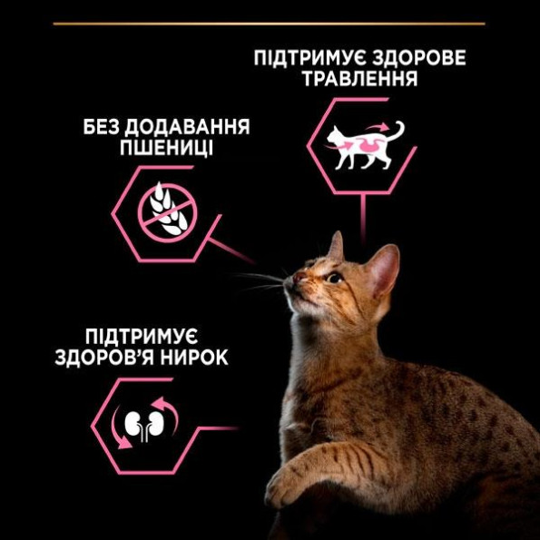 PRO PLAN Delicate сухой корм для кошек с чувствительным пищеварением с индейкой 1,5 кг -
                                                        Фото 4