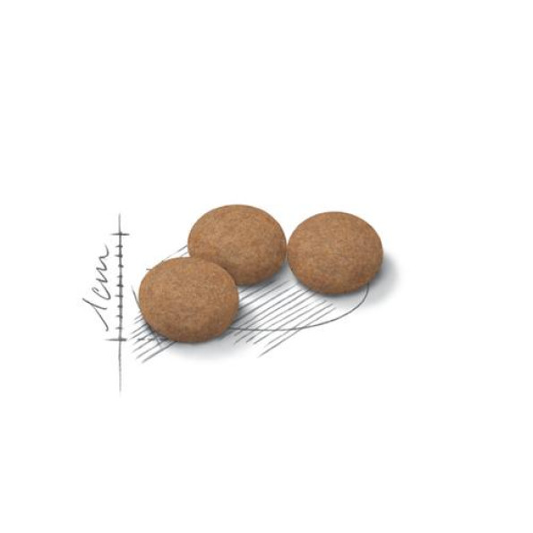 Royal Canin Sterilised +12 (Роял Канин) для стерилизованных котов от 12 лет 2 кг -
Фото 2 Royal Canin Sterilised +12 (Роял Канин) для стерилизованных котов от 12 лет 2 кг -
Фото 2