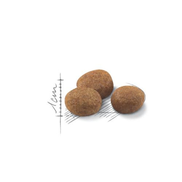 Royal Canin Sterilised +7 для стерилизованных котов от 7 до 12 лет 1,5 кг -
Фото 2 Royal Canin Sterilised +7 для стерилизованных котов от 7 до 12 лет 1,5 кг -
Фото 2