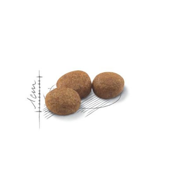 Royal Canin Sterilised для стерилизованных котов от 1 до 7 лет 4 кг -
                                                        Фото 2