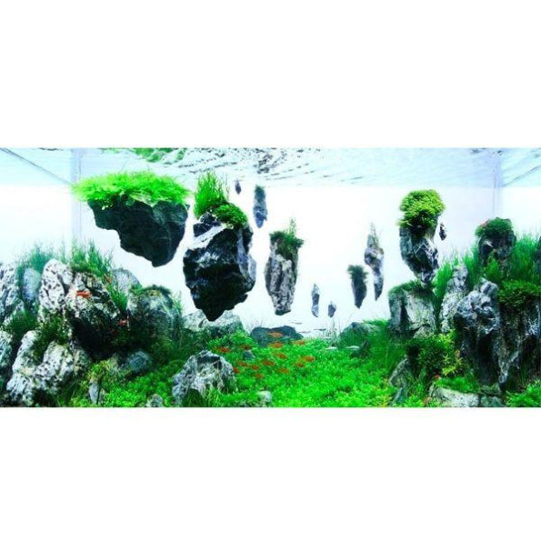 Декорация в аквариум Летящие камни 21х13см -
                                                        Фото 2 Декорация в аквариум Летящие камни 21х13см -
                                                        Фото 2