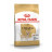 Royal Canin (Роял Канин) Chihuahua Adult 28 сухой корм для чихуахуа 1,5 кг