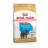 Royal Canin (Роял Канін) Yorkshire Terrier Puppy сухий корм для цуценят йорків 500 г