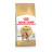 Royal Canin Bengal Роял Канин Бенгал 2 кг