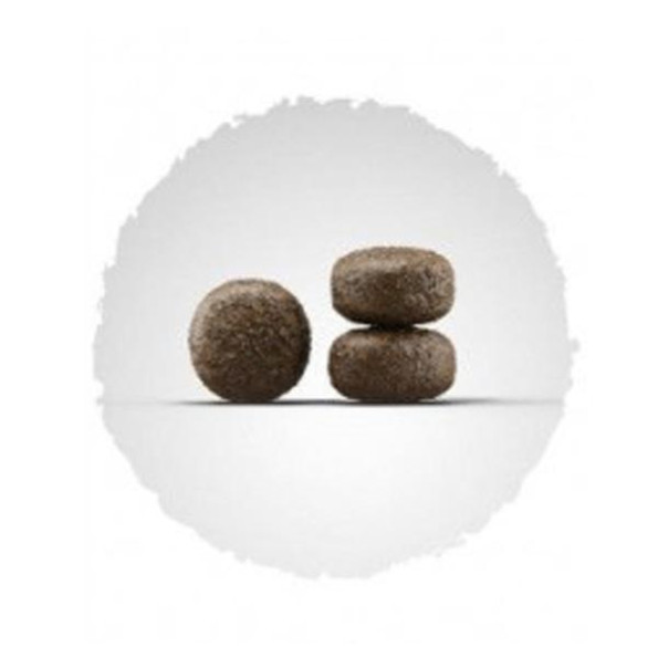 Josera Lamm Reis сухий корм для собак з ягням і рисом 900г -
                                                        Фото 2