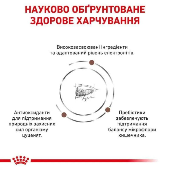 Royal Canin Gastro Intestinal Puppy сухой корм для щенков с чувствительным пищеварением 10кг 1 кг -
                                                        Фото 5