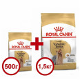 Акція Сухий корм Royal Canin Yorkshire Terrier Adult 1,5кг + 500 г у подарунок