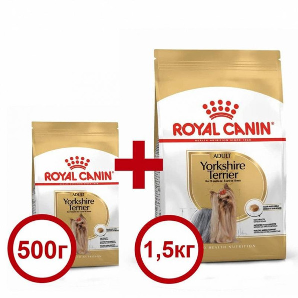 Акція Сухий корм Royal Canin Yorkshire Terrier Adult 1,5кг + 500 г у подарунок Акція Сухий корм Royal Canin Yorkshire Terrier Adult 1,5кг + 500 г у подарунок