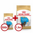 Акція Сухий корм Royal Canin Yorkshire Terrier Puppy 1,5кг + 500 г у подарунок