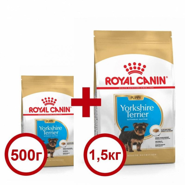 Акція Сухий корм Royal Canin Yorkshire Terrier Puppy 1,5кг + 500 г у подарунок Акція Сухий корм Royal Canin Yorkshire Terrier Puppy 1,5кг + 500 г у подарунок