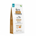 Brit Care Dog Grain-free Senior Light - Сухий беззерновий корм із лососем для літніх собак усіх порід 12 кг