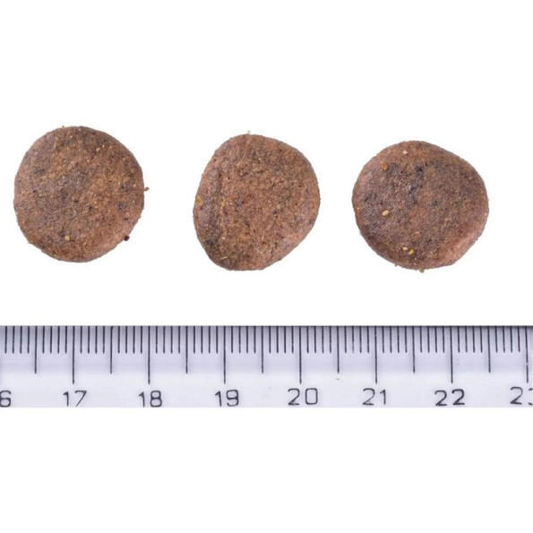 Brit Care Dog Grain-free Senior Light - Сухий беззерновий корм із лососем для літніх собак усіх порід 1 кг -
                                                        Фото 4