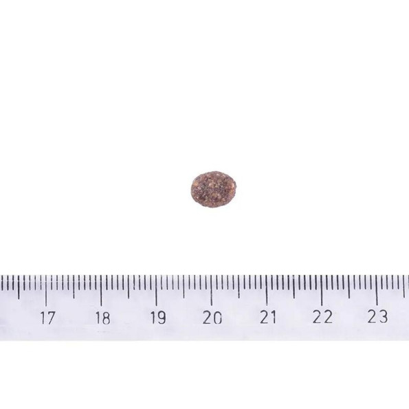 Brit Care Dog Hypoallergenic Adult Small Breed Сухой корм для собак малых пород гипоаллергенный с ягненком 1 кг -
                                                        Фото 4