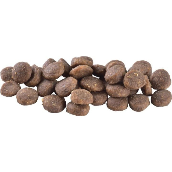 Brit Care Dog Grain-free Puppy Сухой корм для щенков без зерновой с лососем 1 кг -
                                                        Фото 3