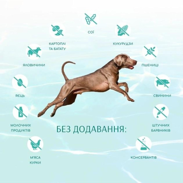АКЦИЯ-25 Optimeal Beauty Fitness Без зерновой полно рационный сухой корм для взрослых собак на основе морепродуктов 1.5 кг -
                                                        Фото 5