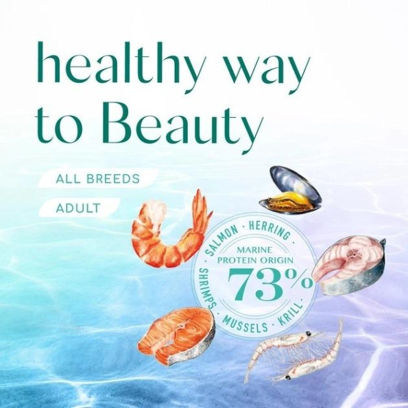 АКЦИЯ-25 Optimeal Beauty Fitness Без зерновой полно рационный сухой корм для взрослых собак на основе морепродуктов 1.5 кг -
                                                        Фото 8