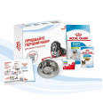 АКЦИЯ Royal Canin X-small Puppy - сухой корм для щенков миниатюрных пород (до 10 месяцев)