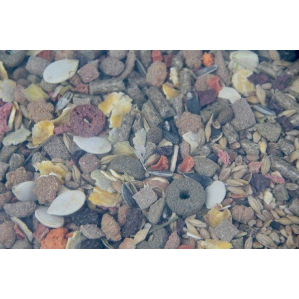 Корм для крыс Lolo Pets 1,9 кг -
Фото 2 Корм для крыс Lolo Pets 1,9 кг -
Фото 2