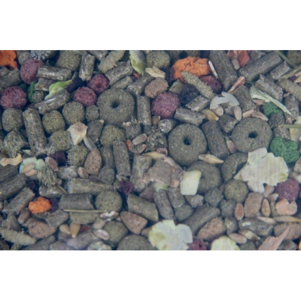 Корм для морской свинки Lolo Pets 2 кг -
Фото 2 Корм для морской свинки Lolo Pets 2 кг -
Фото 2